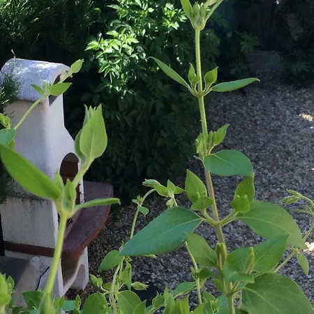 Hébergement de vacances Les Rosiers Gites